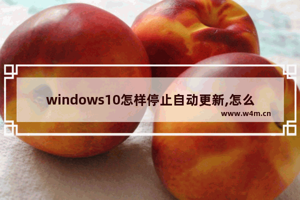 windows10怎样停止自动更新,怎么关闭windows10系统的自动更新