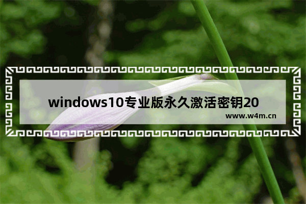 windows10专业版永久激活密钥2021年最新,windows10激活数字许可证