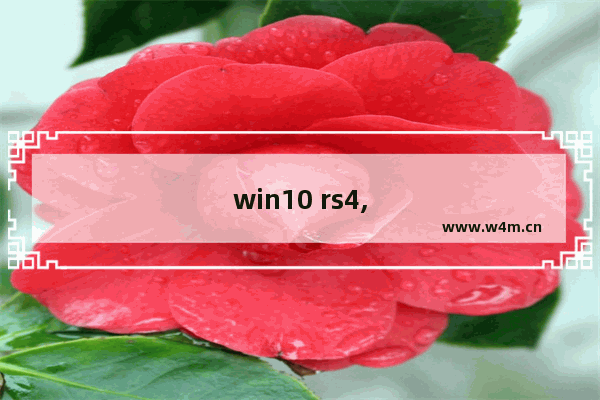 win10 rs4,