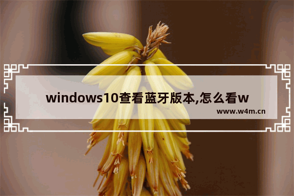 windows10查看蓝牙版本,怎么看win10有没有蓝牙