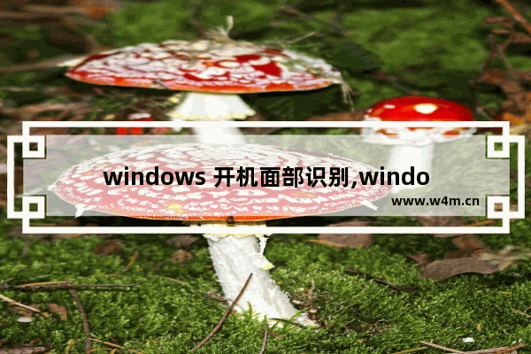 windows 开机面部识别,window10 面部识别