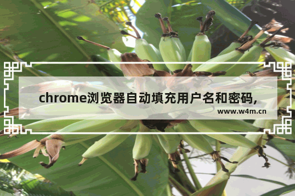 chrome浏览器自动填充用户名和密码,谷歌浏览器设置自动填充密码