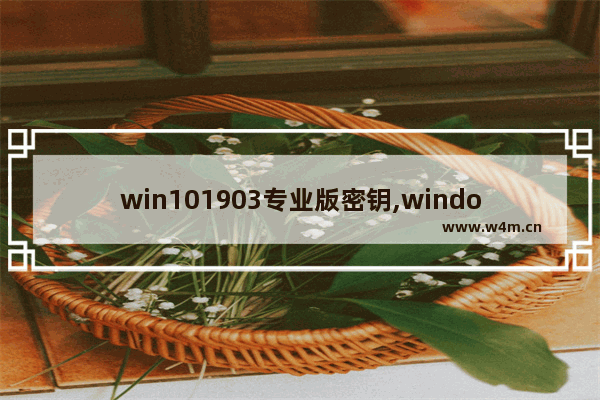 win101903专业版密钥,windows10专业版