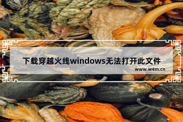 下载穿越火线windows无法打开此文件,cfx帮助文档怎么打开