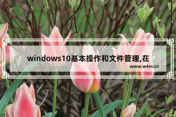 windows10基本操作和文件管理,在windows10的文件资源管理器中