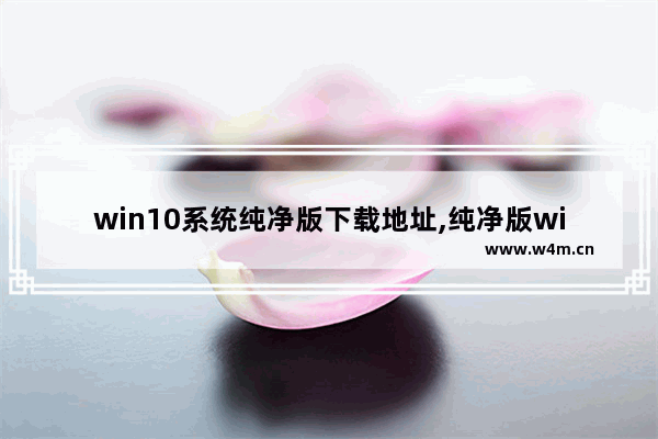 win10系统纯净版下载地址,纯净版win10系统下载