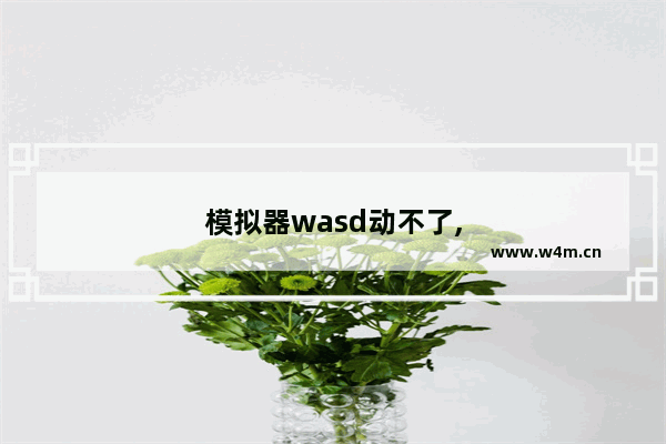 模拟器wasd动不了,