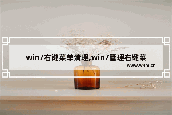 win7右键菜单清理,win7管理右键菜单