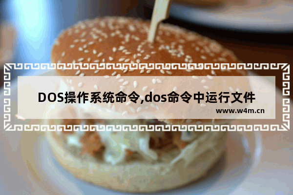 DOS操作系统命令,dos命令中运行文件的命令