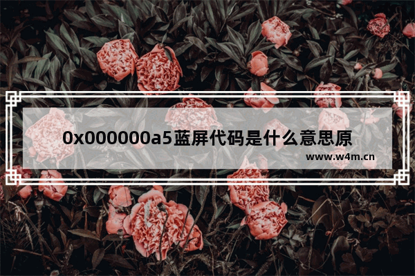 0x000000a5蓝屏代码是什么意思原因,蓝屏代码0x0000005原因