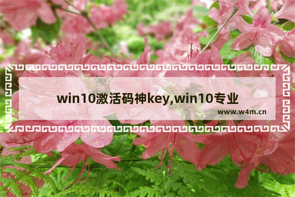 win10激活码神key,win10专业版1903激活密钥