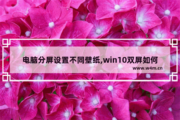 电脑分屏设置不同壁纸,win10双屏如何设置不同壁纸