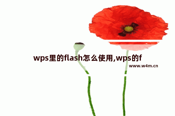 wps里的flash怎么使用,wps的flash怎么设置