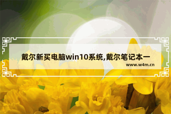 戴尔新买电脑win10系统,戴尔笔记本一直在准备windows