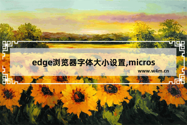 edge浏览器字体大小设置,microsoft edge字体设置