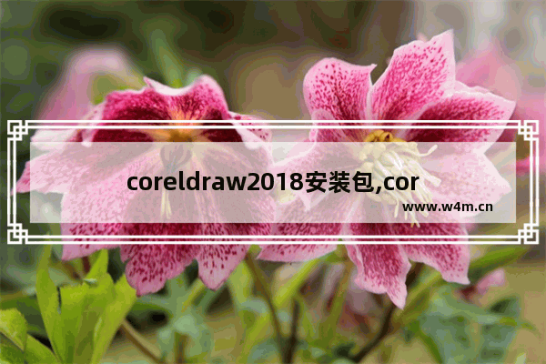 coreldraw2018安装包,coreldraw2019怎么安装