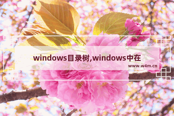 windows目录树,windows中在树形目录结构下