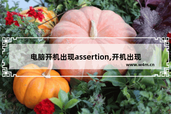 电脑开机出现assertion,开机出现assertion