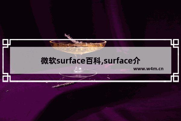 微软surface百科,surface介绍