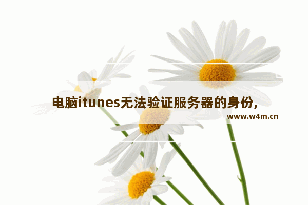 电脑itunes无法验证服务器的身份,