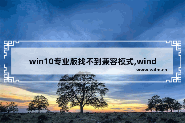 win10专业版找不到兼容模式,windows10没有兼容性选项