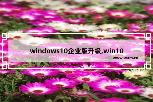 windows10企业版升级,win10企业版2016长期服务版升级