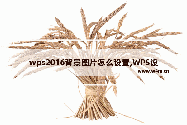 wps2016背景图片怎么设置,WPS设置背景图