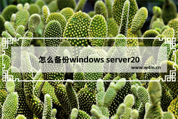 怎么备份windows server2012系统,win10原版系统备份