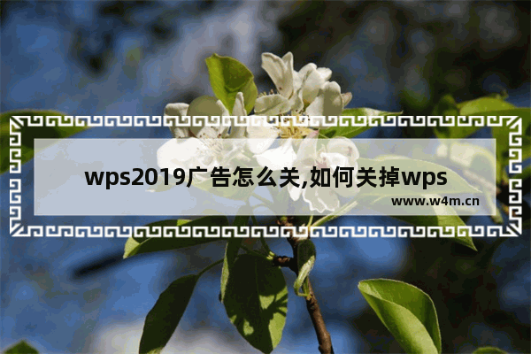 wps2019广告怎么关,如何关掉wps的广告