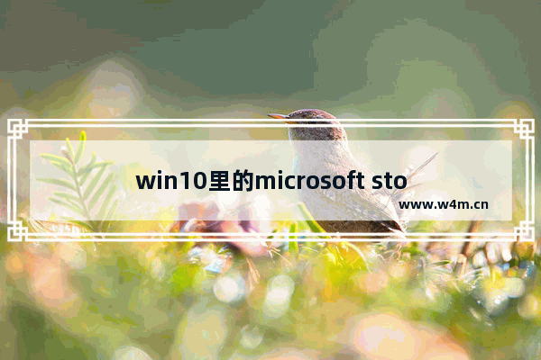 win10里的microsoft store有用吗,window10系统的microsoft store