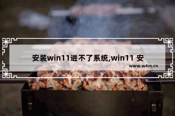 安装win11进不了系统,win11 安装不了