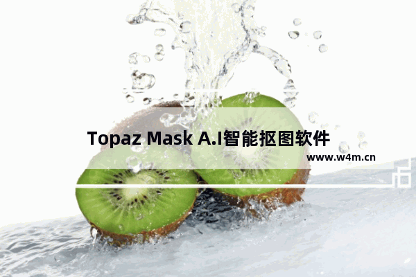 Topaz Mask A.I智能抠图软件,topaz remask5抠图教程