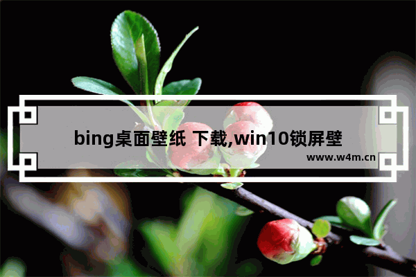 bing桌面壁纸 下载,win10锁屏壁纸软件