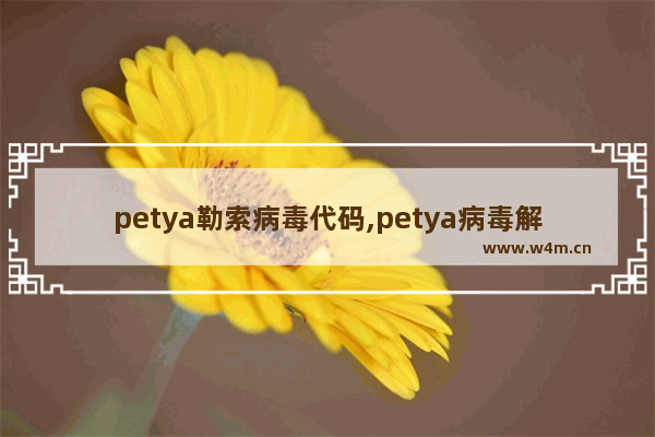 petya勒索病毒代码,petya病毒解密方法