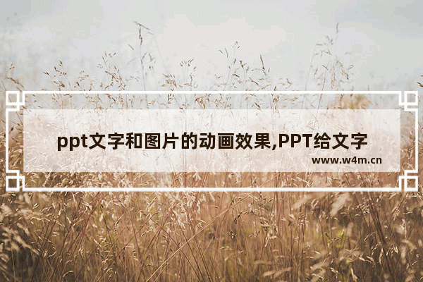 ppt文字和图片的动画效果,PPT给文字加动画