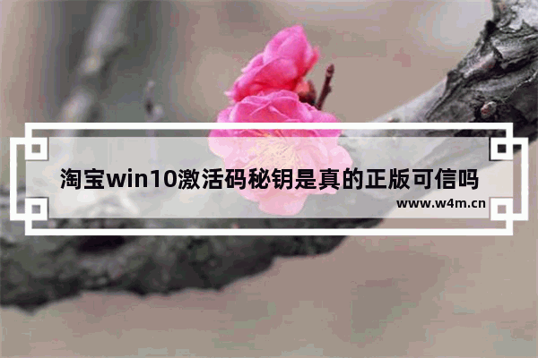 淘宝win10激活码秘钥是真的正版可信吗,网上卖的win10密钥是正版吗