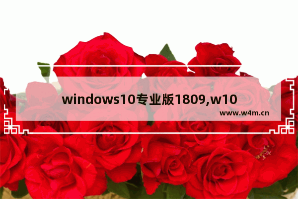 windows10专业版1809,w10专业版1803