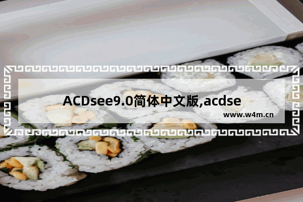 ACDsee9.0简体中文版,acdsee2021中文免费版绿色