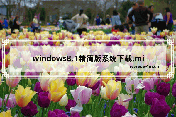 windows8.1精简版系统下载,microsoft8.1版本如何更新