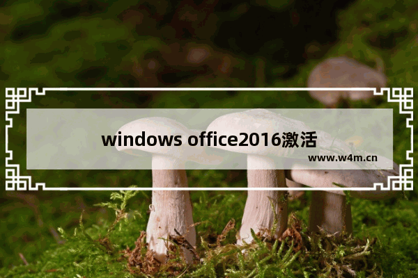 windows office2016激活产品密钥,office2016激活方法win10