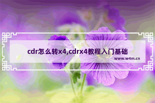 cdr怎么转x4,cdrx4教程入门基础知识