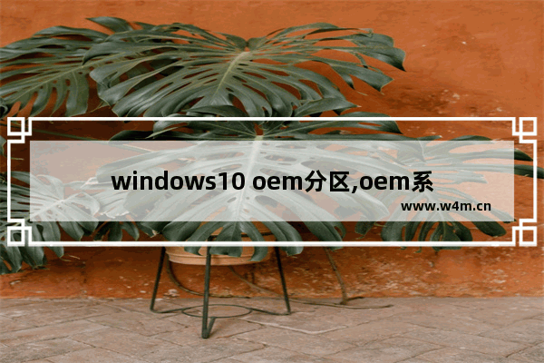 windows10 oem分区,oem系统分区能删除吗