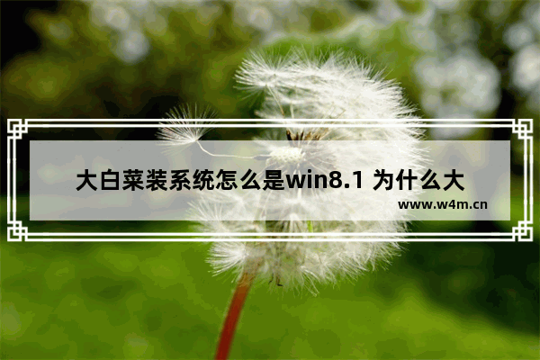 大白菜装系统怎么是win8.1 为什么大白菜装系统是win8.1？