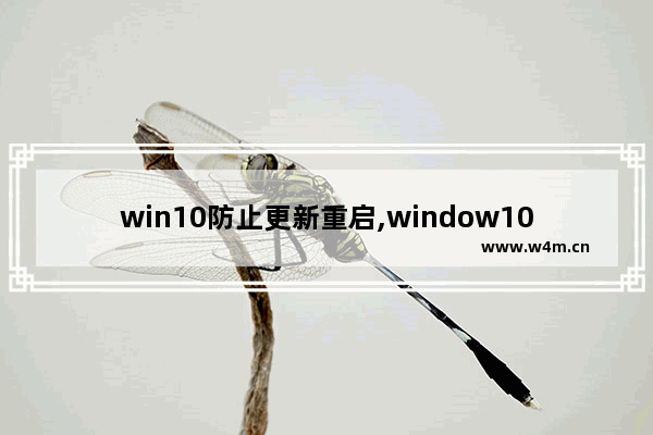 win10防止更新重启,window10正在进行更新可以重启吗