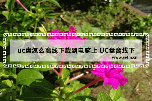 uc盘怎么离线下载到电脑上 UC盘离线下载至电脑