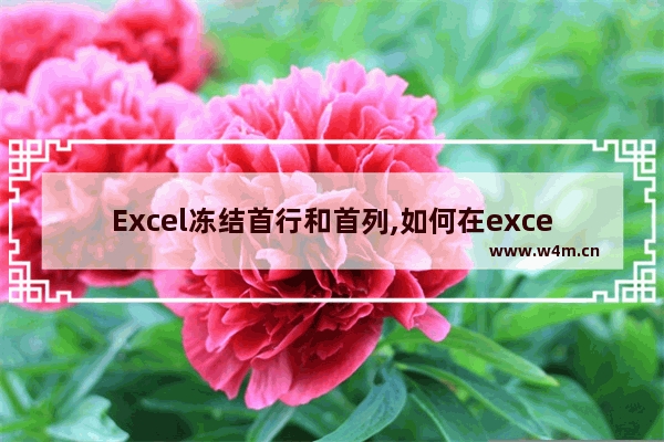 Excel冻结首行和首列,如何在excel中冻结首行和首列