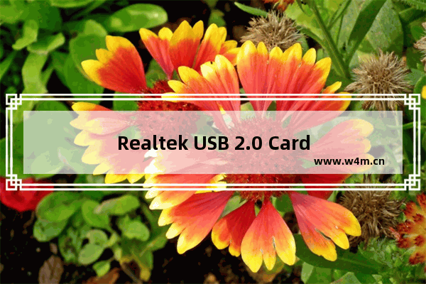 Realtek USB 2.0 Card Reader,