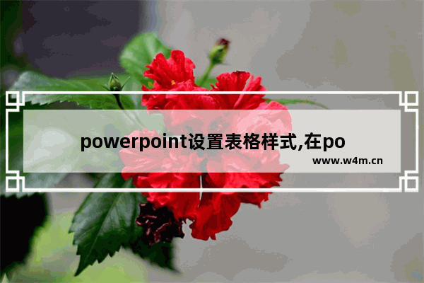 powerpoint设置表格样式,在powerpoint 2003中制作表格时