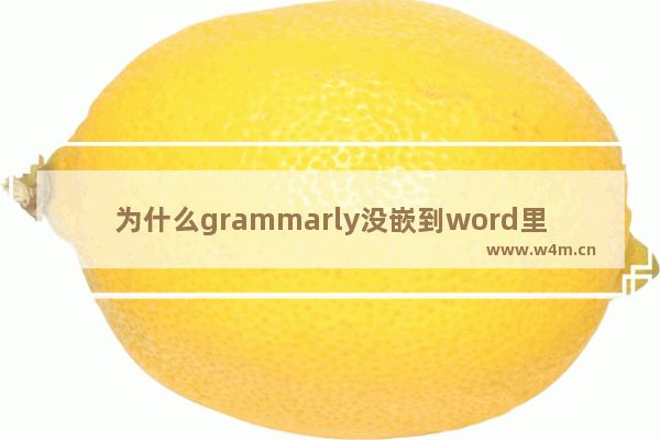 为什么grammarly没嵌到word里没法用,grammarly怎么安装在word插件里