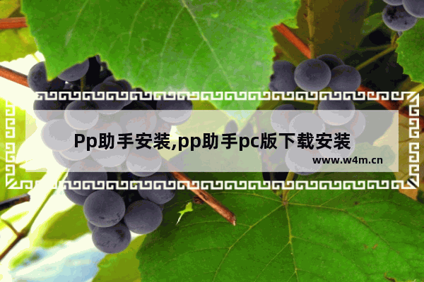 Pp助手安装,pp助手pc版下载安装